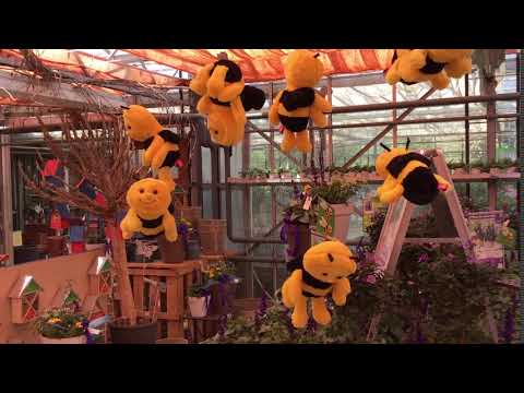 Plüsch Bienchen in Gärtnerei Haberler